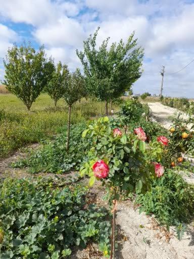 La Crotiniere Villa Marmagne  Kültér fotó